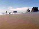 Coastal Weather!