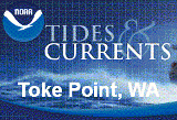 Toke Point, WA: Current tide levels